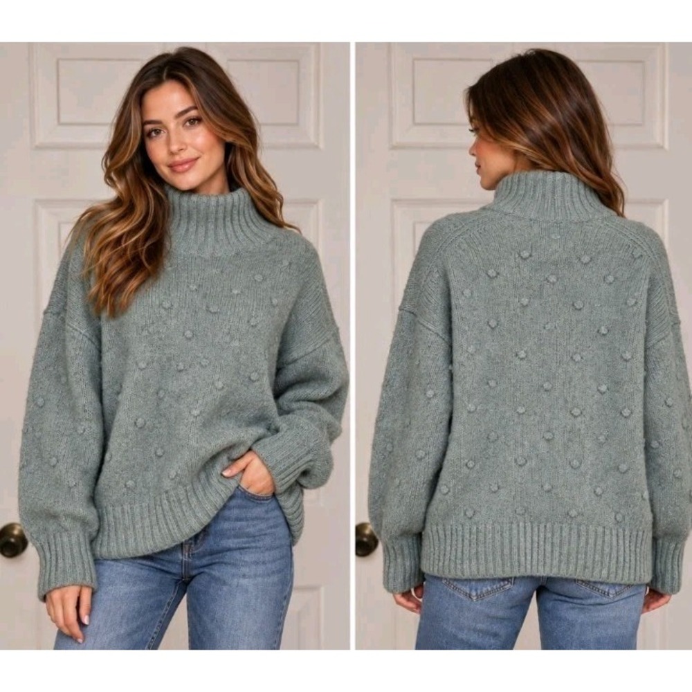 Everlane Alpaca Merino Wool Blend Knit Turtleneck Sweater Womens S Oversized